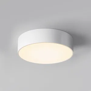 Уличный потолочный светильник Outdoor O431CL-L30W4K