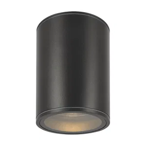 Уличный потолочный светильник Outdoor O306CL-L7GF