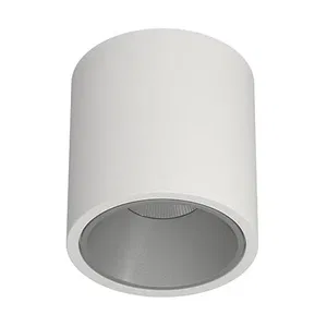 Накладной светодиодный светильник RINBOK White Grey