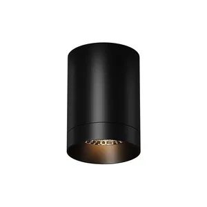 Уличный потолочный светильник Outdoor O500CL-L10B3K