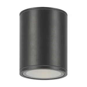 Уличный потолочный светильник Outdoor O306CL-L12GF