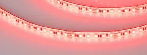 Лента герметичная RTW-SE-A120-8mm 24V RGB (12 W/m, IP65, 5m) (Arlight, 5 лет)
