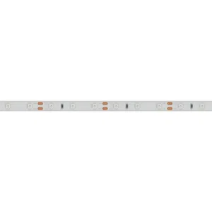 Лента RTW 2-5000SE 12V Blue (3528, 300 LED, LUX) (Arlight, 4.8 Вт/м, IP65)