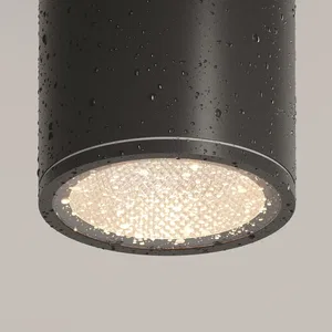 Уличный потолочный светильник Outdoor O306CL-L7GF