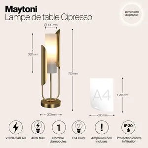 Настольный светильник Maytoni Z014TL-01G