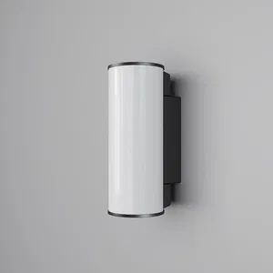 Уличный настенный светильник Outdoor O434WL-L12GF3K