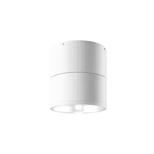 Уличный потолочный светильник Outdoor O310CL-L12W3K