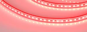 Лента герметичная RTW-PS-A120-10mm 24V RGB (12 W/m, IP67, 2835, 5m) (Arlight, 5 лет)