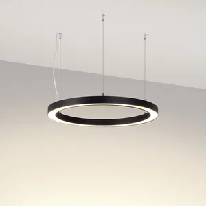 Светильник SP-CIRCLE-HANG-O3535-D500-30W Day4000 (RAL9005, 120 deg, 230V) IP40 LED (Arlight, Алюминий)