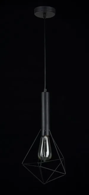 Подвесной светильник Maytoni T021-01-B