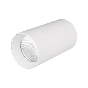 Светильник накладной SP-POLO-R85-1-15W Warm White 40deg (White, White Ring) (Arlight, IP20 Металл, 3 года)