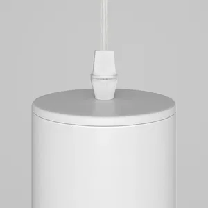Подвесной светильник Maytoni P075PL-01W