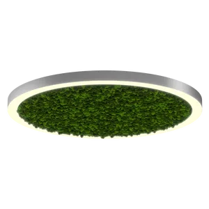 Модульный светильник HOKASU Halo Moss (кольцо со мхом)