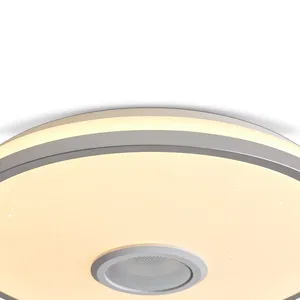 Потолочный светильник Freya FR6226CL-L36W