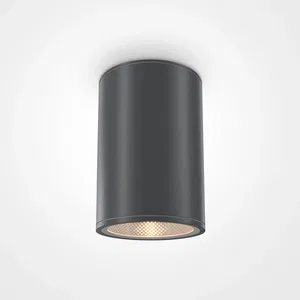Уличный потолочный светильник Outdoor O306CL-L12GF
