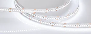 Лента RT-A240-10mm 24V White6000 (19.2 W/m, IP20, 3528, 5m) (Arlight, Открытый)