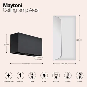 Уличный потолочный светильник Outdoor O309CL-L10GF3K