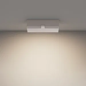 Потолочный светильник Technical C133CL-12W4K-W
