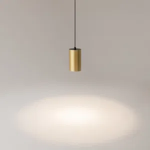 Подвесной светильник Maytoni P100PL-20W4K-BS