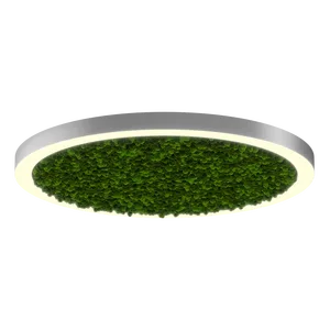Модульный светильник HOKASU Halo Moss (кольцо со мхом)