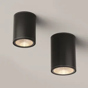 Уличный потолочный светильник Outdoor O306CL-L7GF