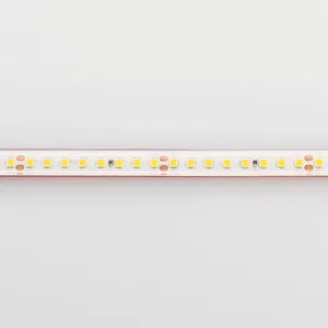 Лента герметичная RTW-PS-A160-10mm 24V Warm2700 (12 W/m, IP67, 2835, 5m) (Arlight, 12 Вт/м, IP67)