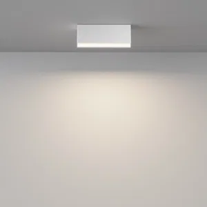 Потолочный светильник Technical C068CL-12W3-6K-W