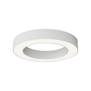 Потолочный светильник Technical C093CL-36W4K-W