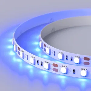 Лента RT 2-5000 12V Blue 2x (5060, 300 LED, LUX) (Arlight, 14.4 Вт/м, IP20)