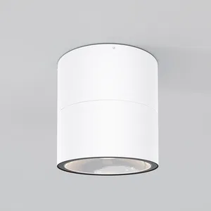 Уличный потолочный светильник Outdoor O310CL-L12W3K