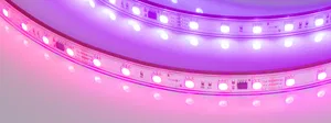 Лента герметичная SPI-PS-B60-12mm 24V RGB-PX6-BPT (12 W/m, IP67, 5060, 5m) (Arlight, бегущий огонь)