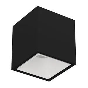 Накладной светодиодный светильник KUBING Black White
