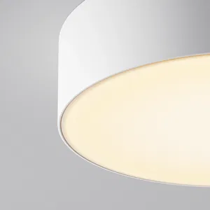 Уличный потолочный светильник Outdoor O431CL-L30W3K