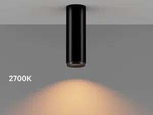 Накладной светильник HOKASU Tube Zoom