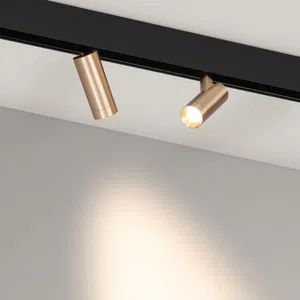 Светильник MAG-ORIENT-SPOT-R35-6W Warm3000 (GD, 24 deg, 48V, DALI) (Arlight, IP20 Металл, 5 лет)
