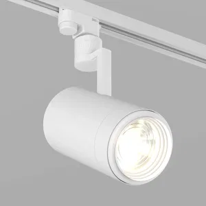 Светильник LGD-ZEUS-2TR-R100-30W White6000 (WH, 20-60 deg) (Arlight, IP20 Металл, 3 года)