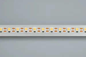Лента RT 2-5000 12V Cx1 Warm2400 2x (5060, 360 LED, LUX) (Arlight, 15.6 Вт/м, IP20)