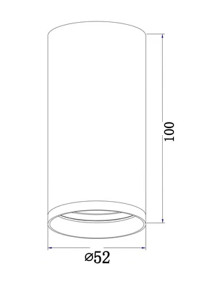 Потолочный светильник Technical C052CL