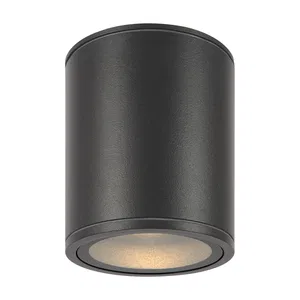Уличный потолочный светильник Outdoor O306CL-L12GF