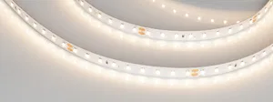 Лента RT-A90-10mm 24V Warm3000 (4.8 W/m, IP20, 2835, 5m) (Arlight, высок.эфф.200 лм/Вт)