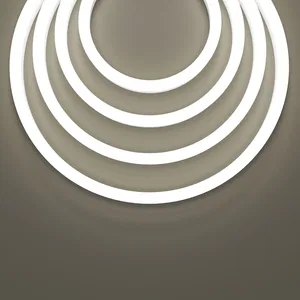 Гибкий неон Led Strip 201232