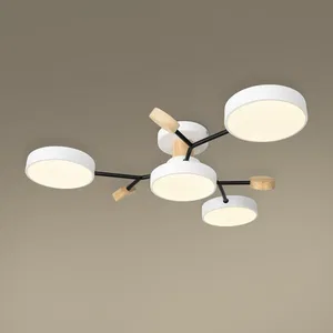 Потолочный светильник Freya FR6119CL-L48W