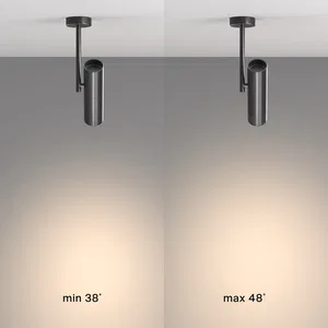 Потолочный светильник Technical C020CL-01B