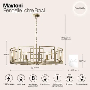 Подвесной светильник Maytoni H009PL-08G