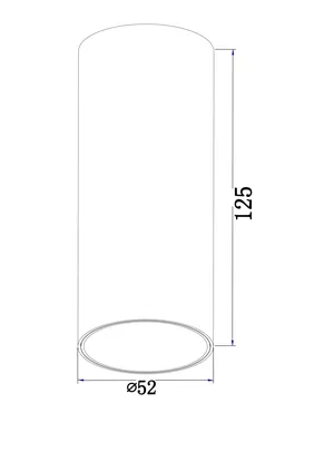 Потолочный светильник Technical C056CL-L12W3K-W-PT