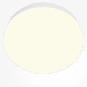 Потолочный светильник Technical C032CL-45W3K-RD-W