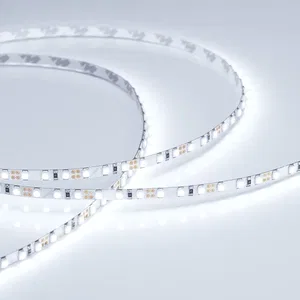 Лента RT 2-5000 12V Cool 8K 5mm 2x (3528, 600 LED, LUX) (Arlight, 9.6 Вт/м, IP20)