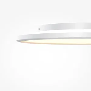 Потолочный светильник Maytoni MOD426CL-L43WK1