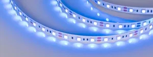 Лента RT 2-5000 12V Blue 2x (5060, 300 LED, LUX) (Arlight, 14.4 Вт/м, IP20)