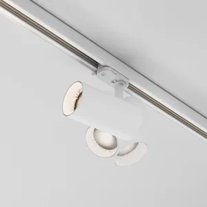 Трековый светильник Technical TR197-3-20WCCT-M-W